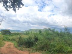 ขาย ที่ดิน เขาใหญ่ ต.​โป่งตาลอง​ อ.ปากช่อง 51 ไร่ ​ที่เป็นเนิน เห็นวิว360องศา​-202508031141541754196114034.jpg