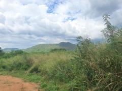 ขาย ที่ดิน เขาใหญ่ ต.​โป่งตาลอง​ อ.ปากช่อง 51 ไร่ ​ที่เป็นเนิน เห็นวิว360องศา​-202508031141541754196114810.jpg