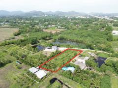 ขาย ที่ดิน เขาใหญ่ ต.​ขนงพระ​ อ.ปากช่อง 1 ไร่ 1 งาน 30 ตรว แค่เห็นวิว ก็มีความสุขแล้ว