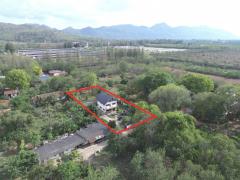 ขายถูก ที่ดิน แถมบ้าน ต.​กลางดง​ อ.ปากช่อง 435 ตรว ​