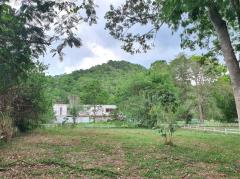 ขาย ที่ดิน หมู่บ้าน คาซ่า เขาใหญ่ ต.​หมูสี​ อ.ปากช่อง 1 ไร่ ​เห็นทิวเขา สวยสุดๆ-202508031153271754196807098.jpg