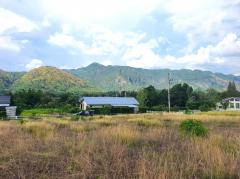 ขาย ที่ดิน โครงการ Balcony เขาใหญ่ ต.​พญาเย็น​ อ.ปากช่อง 338 ตรว-202508031154561754196896262.jpg