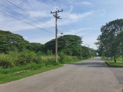 ขาย ที่ดิน โครงการโบนันซ่า เขาใหญ่ ต.​ขนงพระ​ อ.ปากช่อง 2 ไร่ ​เห็นทิวเขา สวยสุดๆ-202508031156381754196998576.jpg