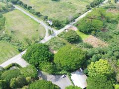 ขาย ที่ดิน โครงการโบนันซ่า เขาใหญ่ ต.​ขนงพระ​ อ.ปากช่อง 2 ไร่ ​เห็นทิวเขา สวยสุดๆ-202508031156421754197002390.jpg