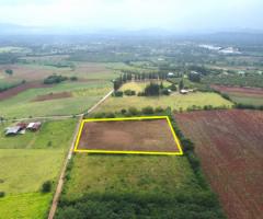 ขาย ที่ดิน ต.โป่งตาลอง อ.ปากช่อง 10 ไร่ เห็นทิวเขา สวยสุดๆ