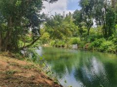 ขาย ที่ดิน เขาใหญ่ ต.​ขนงพระ​ อ.ปากช่อง 30 ไร่ ติดน้ำ แถมวิวเขา หายากมาก-202508031319471754201987253.jpg