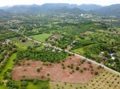 ขาย ที่ดิน เขาใหญ่ ต.พญาเย็น อ.ปากช่อง 20 ไร่ วิวเทพสุดๆ-202508031320431754202043497.jpg