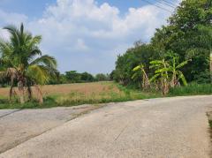 ขาย ที่ดิน เขาใหญ่ ต.​หนองน้ำแดง​ อ.ปากช่อง 8 ไร่ เหมาะแบ่งแปลงทำจัดสรร-202508031326411754202401513.jpg