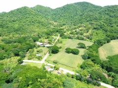 ขาย ที่ดิน เขาใหญ่ ต.​พญาเย็น​ อ.ปากช่อง 3 ไร่ 1 งาน 46 ตรว แค่เห็นวิว ก็มีความสุขแล้ว-202508031329441754202584441.jpg