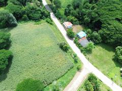 ขาย ที่ดิน เขาใหญ่ ต.​พญาเย็น​ อ.ปากช่อง 3 ไร่ 1 งาน 46 ตรว แค่เห็นวิว ก็มีความสุขแล้ว-202508031329451754202585561.jpg