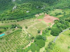 ขาย ที่ดิน เขาใหญ่ ต.​พญาเย็น​ อ.ปากช่อง 7 ไร่ ​แค่เห็นวิว ก็มีความสุขแล้ว​-202508031332351754202755774.jpg