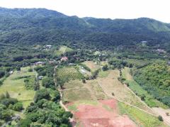 ขาย ที่ดิน เขาใหญ่ ต.​พญาเย็น​ อ.ปากช่อง 7 ไร่ ​แค่เห็นวิว ก็มีความสุขแล้ว​-202508031332361754202756332.jpg