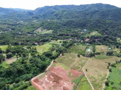 ขาย ที่ดิน เขาใหญ่ ต.​พญาเย็น​ อ.ปากช่อง 7 ไร่ ​แค่เห็นวิว ก็มีความสุขแล้ว​-202508031332371754202757296.jpg