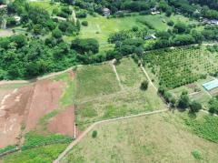 ขาย ที่ดิน เขาใหญ่ ต.​พญาเย็น​ อ.ปากช่อง 7 ไร่ ​แค่เห็นวิว ก็มีความสุขแล้ว​-202508031332391754202759282.jpg