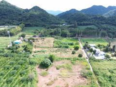 ขาย ที่ดิน เขาใหญ่ ต.​หนองน้ำแดง​ อ.ปากช่อง 3 ไร่ 1 งาน 85 ตรว ​แค่เห็นวิว ก็มีความสุขแล้ว-202508031333411754202821375.jpg