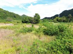 ขาย ที่ดิน เขาใหญ่ ต.​หนองน้ำแดง​ อ.ปากช่อง 3 ไร่ 1 งาน 85 ตรว ​แค่เห็นวิว ก็มีความสุขแล้ว-202508031333421754202822332.jpg