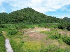 ขาย ที่ดิน เขาใหญ่ ต.​หนองน้ำแดง​ อ.ปากช่อง 3 ไร่ 1 งาน 85 ตรว ​แค่เห็นวิว ก็มีความสุขแล้ว-202508031333431754202823292.jpg