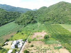 ขาย ที่ดิน เขาใหญ่ ต.​หนองน้ำแดง​ อ.ปากช่อง 3 ไร่ 1 งาน 85 ตรว ​แค่เห็นวิว ก็มีความสุขแล้ว-202508031333441754202824822.jpg