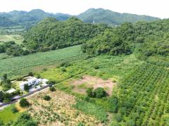 ขาย ที่ดิน เขาใหญ่ ต.​หนองน้ำแดง​ อ.ปากช่อง 3 ไร่ 1 งาน 85 ตรว ​แค่เห็นวิว ก็มีความสุขแล้ว-202508031333451754202825802.jpg