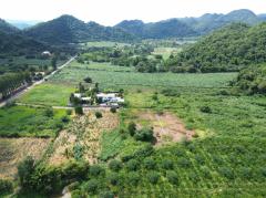 ขาย ที่ดิน เขาใหญ่ ต.​หนองน้ำแดง​ อ.ปากช่อง 3 ไร่ 1 งาน 85 ตรว ​แค่เห็นวิว ก็มีความสุขแล้ว-202508031333461754202826808.jpg