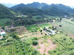 ขาย ที่ดิน เขาใหญ่ ต.​หนองน้ำแดง​ อ.ปากช่อง 3 ไร่ 1 งาน 85 ตรว ​แค่เห็นวิว ก็มีความสุขแล้ว-202508031333481754202828450.jpg