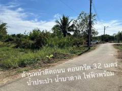 ขายสวนลำไยแปลงสวยวิวภูเขา 10-0-59 ไร่ หนองตอง อ.หางดง เชียงใหม่-202508040312081754251928898.jpg