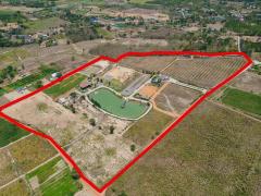 ที่ดิน ที่ดิน หนองหญ้าปล้อง จ.เพชรบุรี   33000000 -  79 sq.wa 0 Ngan 69 RAI โครตคุ้ม