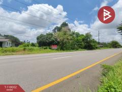 ขายที่ดิน เนื้อที่ 3 งาน 37.5 ตร.วา ขลุง จันทบุรี-202508041000511754276451135.jpg