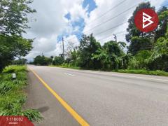 ขายที่ดิน เนื้อที่ 3 งาน 37.5 ตร.วา ขลุง จันทบุรี-202508041000511754276451671.jpg