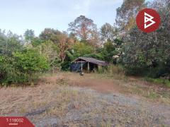 ขายที่ดิน เนื้อที่ 3 งาน 37.5 ตร.วา ขลุง จันทบุรี-202508041000531754276453837.jpg