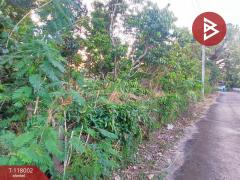 ขายที่ดิน เนื้อที่ 3 งาน 37.5 ตร.วา ขลุง จันทบุรี-202508041000541754276454914.jpg