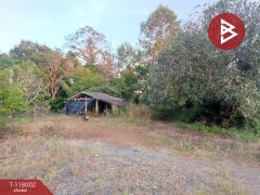 ขายที่ดิน เนื้อที่ 3 งาน 37.5 ตร.วา ขลุง จันทบุรี-202508041000551754276455543.jpg