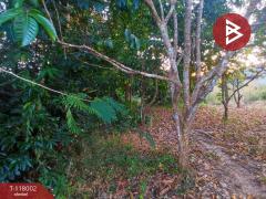 ขายที่ดิน เนื้อที่ 3 งาน 37.5 ตร.วา ขลุง จันทบุรี-202508041000561754276456106.jpg