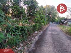 ขายที่ดิน เนื้อที่ 3 งาน 37.5 ตร.วา ขลุง จันทบุรี-202508041000561754276456681.jpg