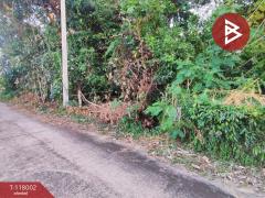 ขายที่ดิน เนื้อที่ 3 งาน 37.5 ตร.วา ขลุง จันทบุรี-202508041000571754276457392.jpg