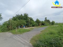 ให้เช่าที่ดิน เนื้อที่ 315 ตารางวา ซอยลาดกระบัง14/1 ซอยราชา6 ราชาเทวะ บางพลี