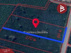 ขายที่ดิน เนื้อที่ 10 ไร่ เขาชะเมา ระยอง-202508041716501754302610724.jpg