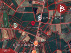 ขายที่ดิน เนื้อที่ 10 ไร่ เขาชะเมา ระยอง-202508041716511754302611796.jpg