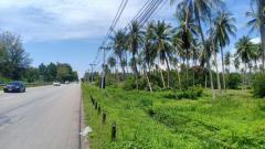 ขายที่ดิน ริม ถ.เพชรเกษม 11 ไร่ 3 งาน ติดปั๊มบางจาก-202508042127061754317626050.jpg