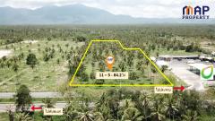 ขายที่ดิน ริม ถ.เพชรเกษม 11 ไร่ 3 งาน ติดปั๊มบางจาก-202508042127101754317630381.jpg