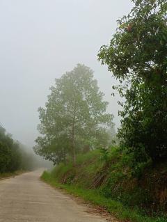 ขายที่ดินพร้อมสวนผลไม้และพืชเศรษฐกิจ 130 ไร่ ระนอง — ล้อมลำธาร น้ำดีตลอดปี 130 Rai Land with Fruit & Economic Crops for Sale in Ranong – Surrounded by Stream, Water Year‑Round 泰国拉农府130莱果园与经济作物土地出售 — 天然溪流环绕，全年水源充足-202508042135531754318153819.jpg