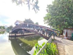 ที่ดิน ซอยลาดพร้าว 101 ใกล้สถานีรถไฟฟ้า บางกะปิ กรุงเทพ-202508050923031754360583143.jpg