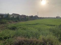 ขายที่ดินจัดสรร 150 ตรว. ขาย 370,000 บาท ตำบลวังทอง อำเภอวังทอง จังหวัดพิษณุโลก