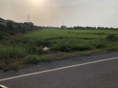 ขายที่ดินจัดสรร 150 ตรว. ขาย 370,000 บาท ตำบลวังทอง อำเภอวังทอง จังหวัดพิษณุโลก-202508051116201754367380614.jpg