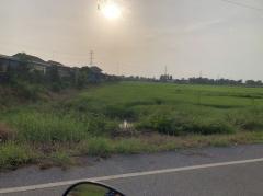 ขายที่ดินจัดสรร 150 ตรว. ขาย 370,000 บาท ตำบลวังทอง อำเภอวังทอง จังหวัดพิษณุโลก-202508051116271754367387021.jpg