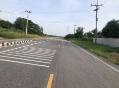 ขายที่ดินจัดสรร 150 ตรว. ขาย 370,000 บาท ตำบลวังทอง อำเภอวังทอง จังหวัดพิษณุโลก-202508051116331754367393821.jpg