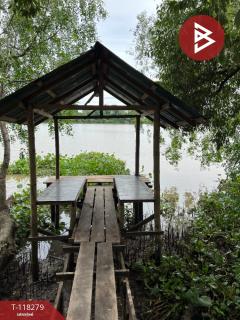 ขายที่ดินพร้อมสิ่งปลูกสร้าง เนื้อที่ 1 ไร่ 3 งาน 29 ตร.วา บ้านโพธิ์ ฉะเชิงเทรา-202508051120341754367634515.jpg