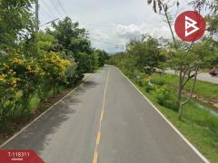 ขายบ้านเดี่ยว หมู่บ้านณัฏฐรียา (Baan Nattariya) ต้นมะม่วง เพชรบุรี-202508051408531754377733258.jpg