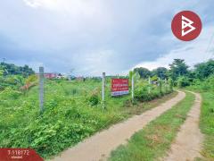 ขายที่ดินเปล่า เนื้อที่ 3 งาน 44.1 ตร.วา บ้านกล้วย ชัยนาท-202508051637541754386674614.jpg