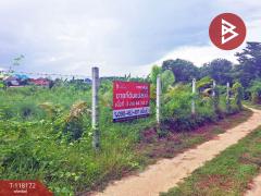ขายที่ดินเปล่า เนื้อที่ 3 งาน 44.1 ตร.วา บ้านกล้วย ชัยนาท-202508051637551754386675192.jpg